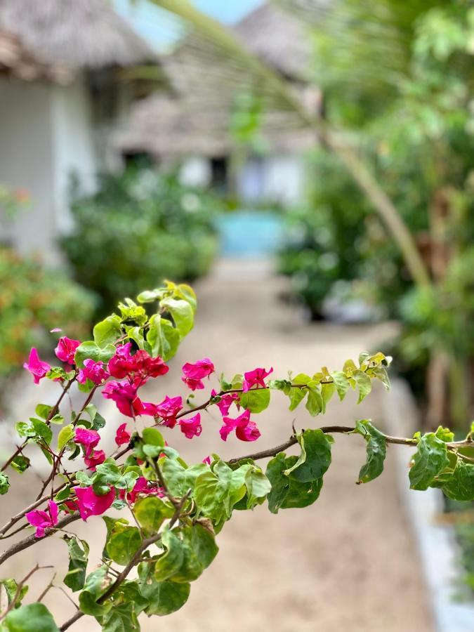 Jambiani White Sands Bungalows Exteriér fotografie