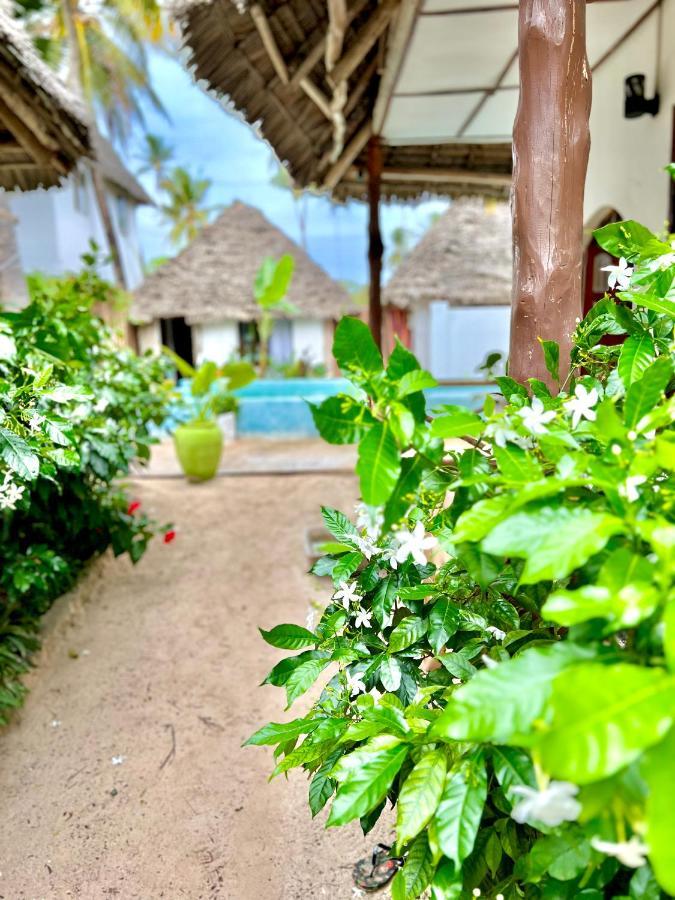 Jambiani White Sands Bungalows Exteriér fotografie